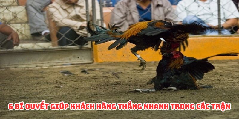 6 bí quyết giúp khách hàng thắng nhanh trong các trận