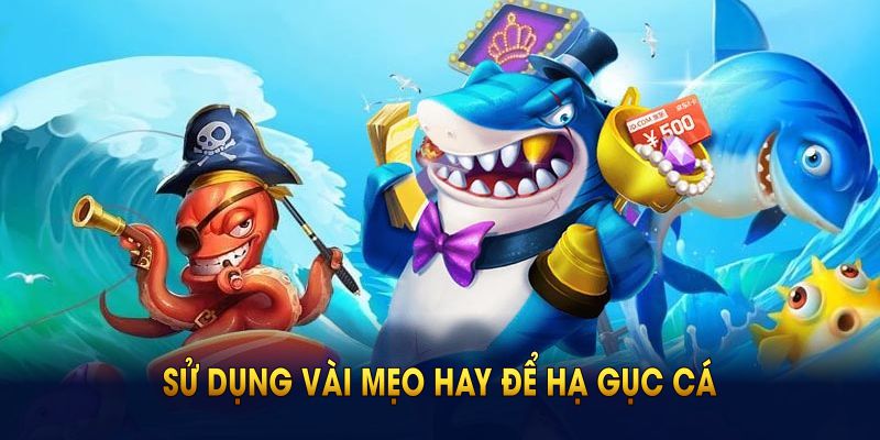 Sử dụng vài mẹo hay để hạ gục cá trên màn hình nhanh nhất 